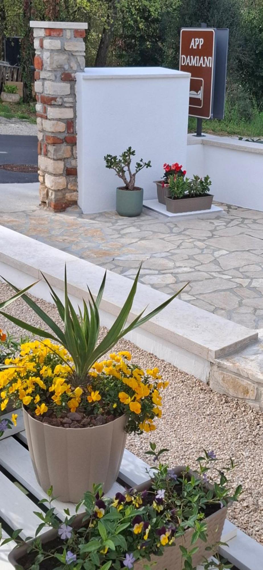 Apartment Damiani Umag Bagian luar foto